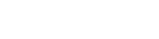 Junior Portfolio & Data Analyst